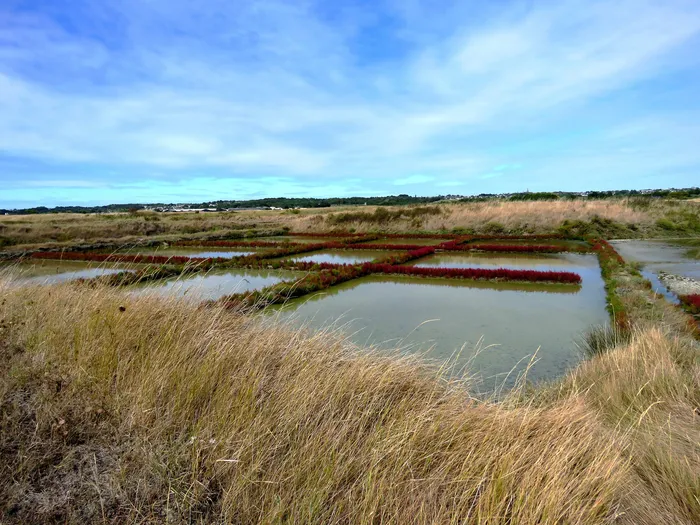 Les marais salant de Guérande sous un beau ciel bleu